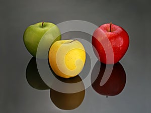 Multi Colored Apples on Reflective Black Background