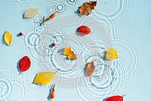 Multi-colored autumn leaves on the background of water with drops and waves