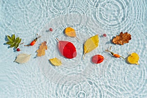 Multi-colored autumn leaves on the background of water with drops and waves