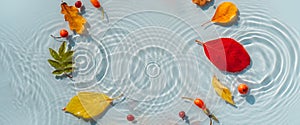 Multi-colored autumn leaves on background of water with drops and waves