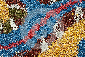 Multi-colored background of corn maize seed