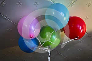 Multi-colored balloons on the background of the ceiling close-up.
