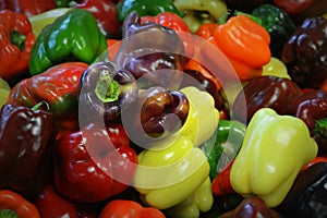 Multi-Colored Bell Peppers