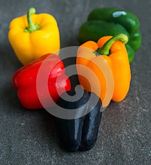 Multi-Colored Bell Peppers in Still Life