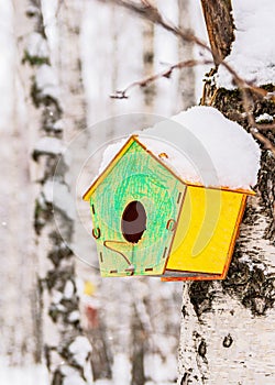 A multi-colored birdhouse hangs on a birch tree in a cold winter forest with snow on the roof