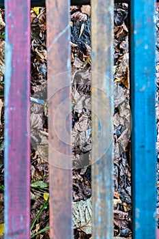 Multi-colored boards and autumn yellow leaves background. abstract old wood texture pattern and seasonal concept