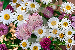 Multi-colored bouquet of wild wild flowers. A bouquet of white daisies and pink clover flowers.