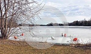 Multi-colored buoys frozen into the ice of the Rideau River and a tree without foliage stands on the shore