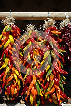 Multi colored chili ristras