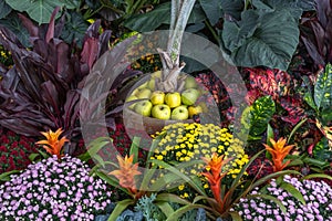 Multi colored Chrysanthemum flower arrangement at Frederik Meijer gardens