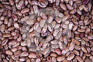 Multi-colored dark red and beige haricot beans background