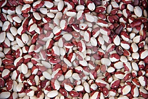 Multi-colored dark red and white haricot beans background