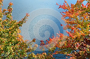 Multi-colored fall leaves against blue water in New England