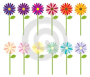 Multi-colored Flowers photo