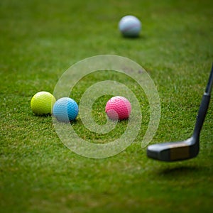 Multi-colored golf balls on green grass. Golf Club. Sports and recreation