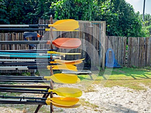 Multi colored kayak paddles on storage rack on the sandy beach and tropical green yard background.