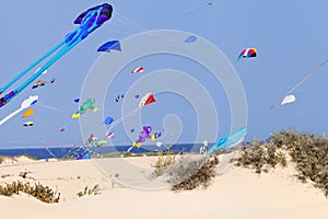 Multi colored kites over sandy dunes, beach .