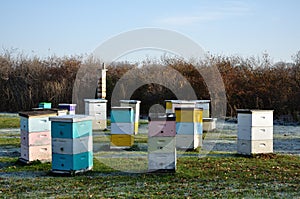 Multi-Colored Langstroth Bee Hives photo