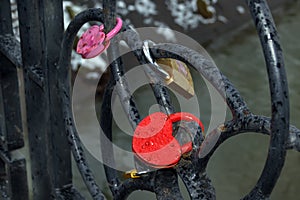 Multi Colored locks closed on iron grating