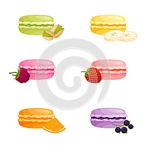 Multi-colored macaroons with different fruit filling. Vector french cookies