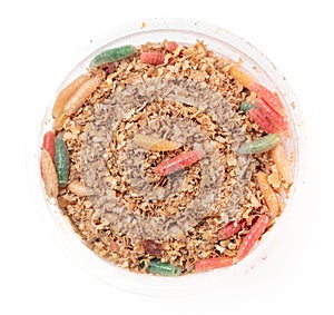 Multi-colored maggots in sawdust in a box isolated on a white background