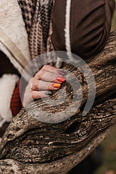 A multi-colored manicure on the hands of the girl. Bright autumn manicure