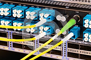 Multi Colored Network Cables Connected to Switch, network  technology concept