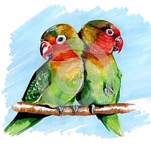 Multi-colored parrots lovebirds drawing markers