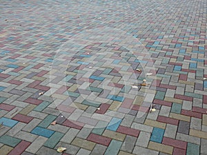 Multi-colored paving slabs