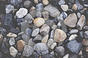 Multi Colored Pebbles rocks Backgrounds Concept