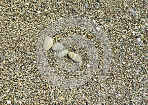 Multi-colored pebbles on the shores of the Mediterranean Sea. Pebble background.