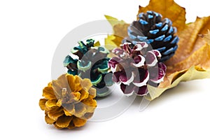 Multi-colored pinecone