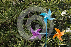 Multi colored pinwheel on green tree