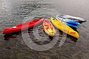 Multi-colored plastic kayaks are on the pier near the shore