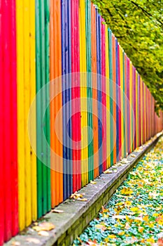 Multi colored rainbow wooden fence in autumn, garden background, soft focus, shallow depth of field