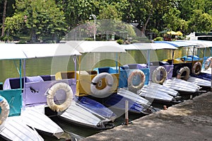 Multi-colored rental pedal boats