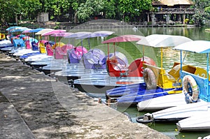 Multi-colored rental pedal boats