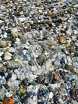 Multi-colored river stones. Background of colored sea stones close-up