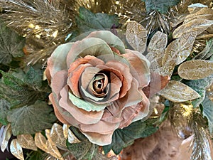 Multi-colored rose on christmas tree