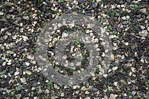 Multi-colored splinters of glass background.