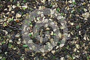 Multi-colored splinters of glass background.