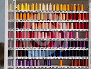 Multi-colored spools of thread