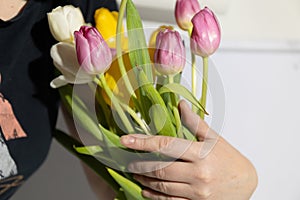 Multi-colored tulips in the hands of a woman in a room illuminated by sunlight