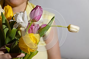 Multi-colored tulips in the hands of a woman in a room illuminated by sunlight