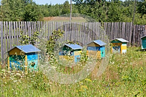 Multi-colored wooden beehives