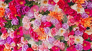 Multi Colors Pink Purple Red Yellow Flowers Background