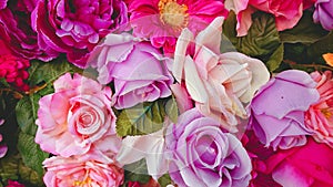 Multi Colors Pink Purple Red Yellow Flowers Background