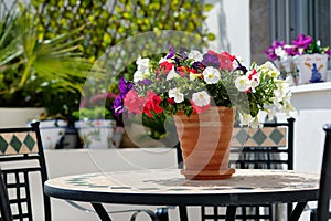 Multi coloured garden flowers in pot outdoors