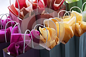 Multi-coloured Gift Bags photo