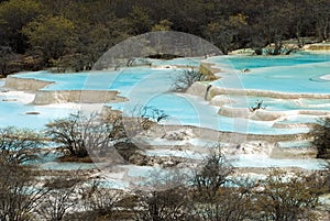 Multi-coloured Ponds